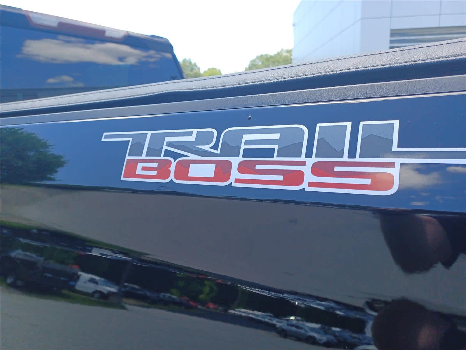 2020 Chevrolet Silverado 1500 Custom Trail Boss